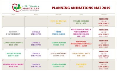 Planning des animations